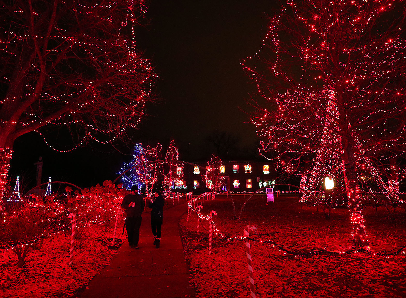 Rotary Lights